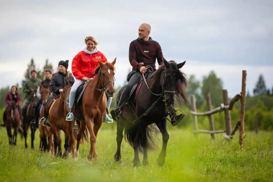 Кск рядом. Русский конный двор Халкедон. Конный клуб. Покататься на лошадях в Киржаче. Катание на лошадях в Подмосковье.