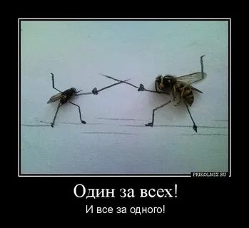 Один за всех не для тебя