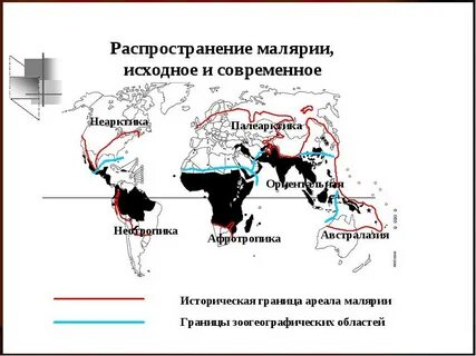 Период распространения