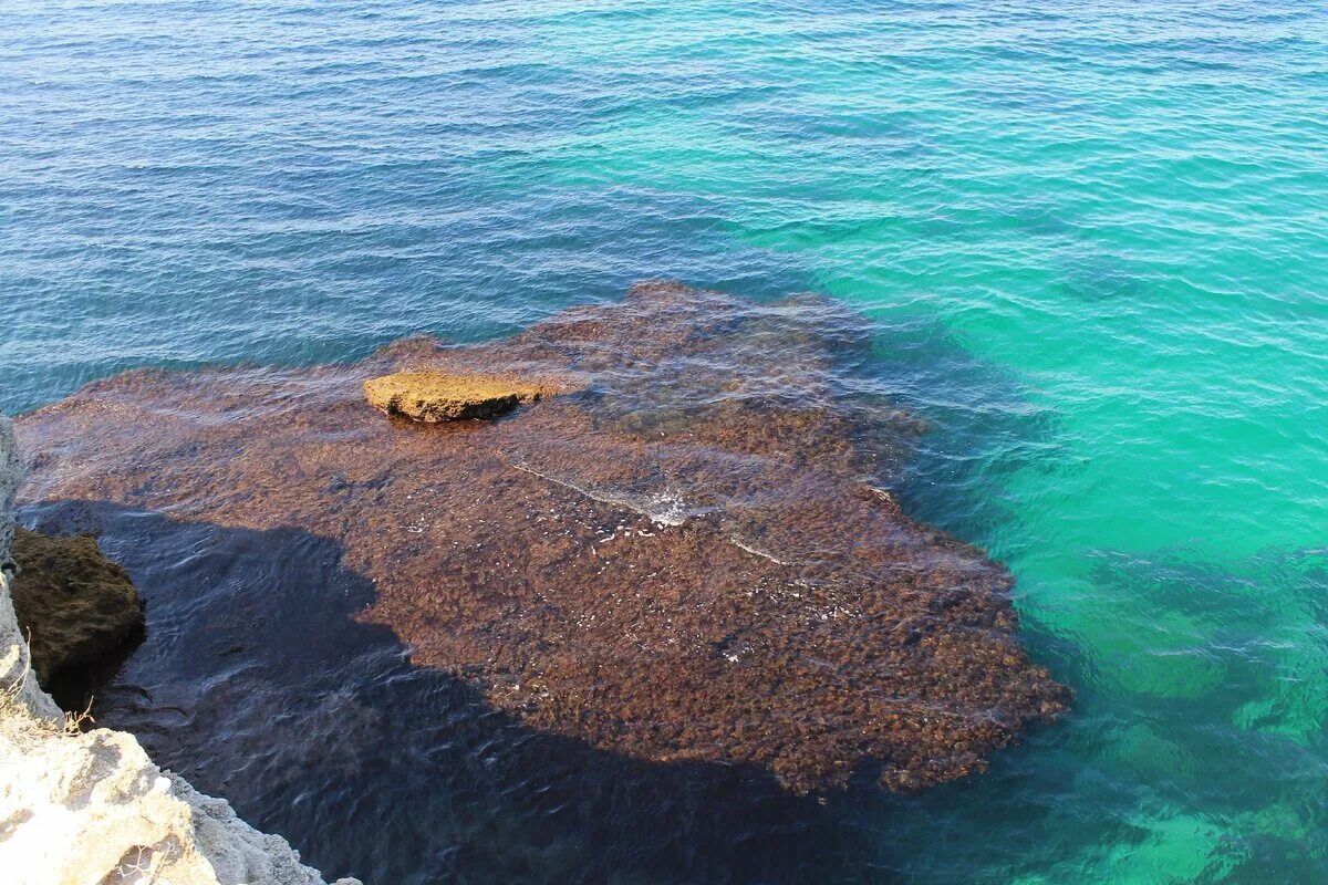 Чёрное море 2020. Черное море 2020. Море 2020. Чёрное море в 2020 году летом в россии. Чёрное море 2020.