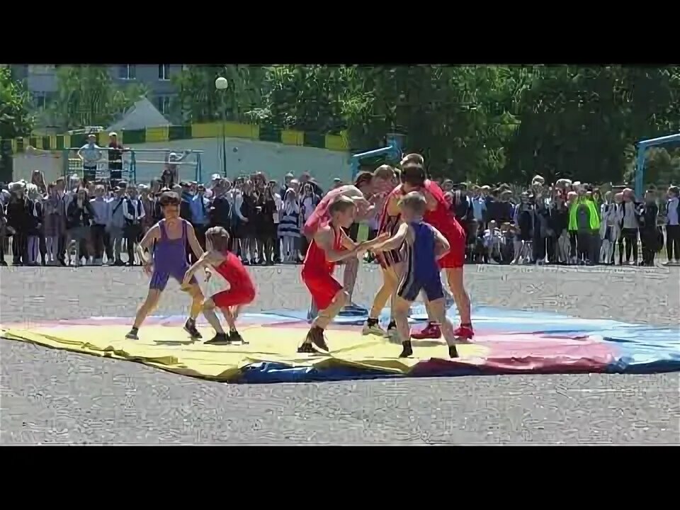 Сш 41 могилев. Сш 41 могилев