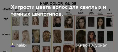 Тест определить цвет волос