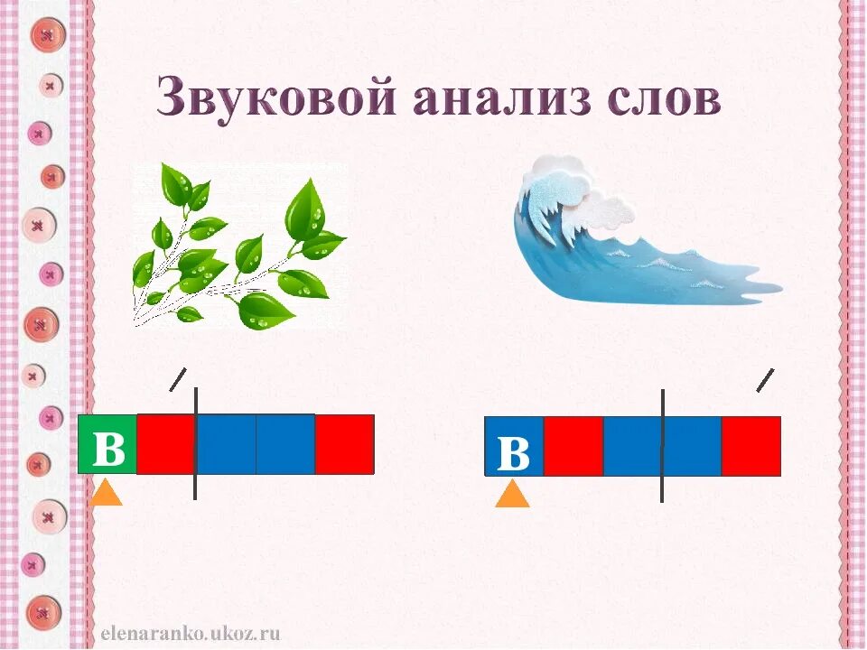 Составить слово ветка. Схема звукового анализа. Звуковой анализ слова схема. Ветка звуковая схема.