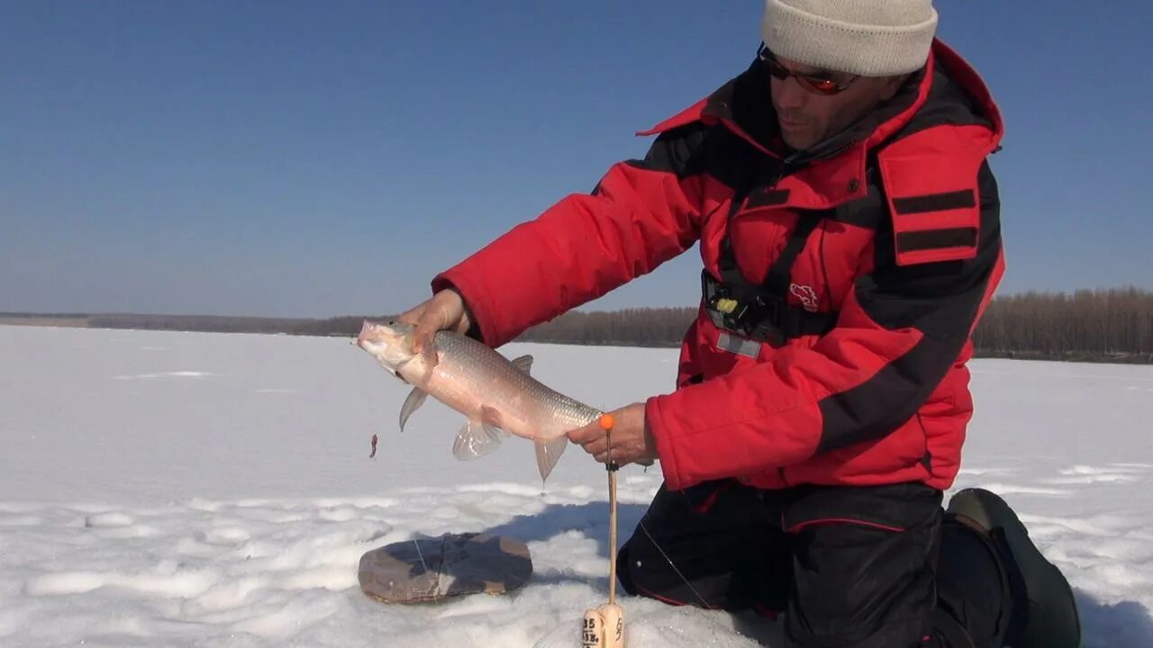 рыбалка обь зимой. рыбалка обь зимой. рыбалка обь зимой. река етыпур зимняя рыбалка. рыбалка обь зимой.