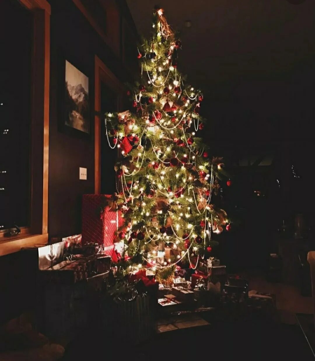 Кошка под елкой фото. Живая елка на новый год. Новогодние ели. Царь елка ель сапфир, 210 см. Елка или ель.