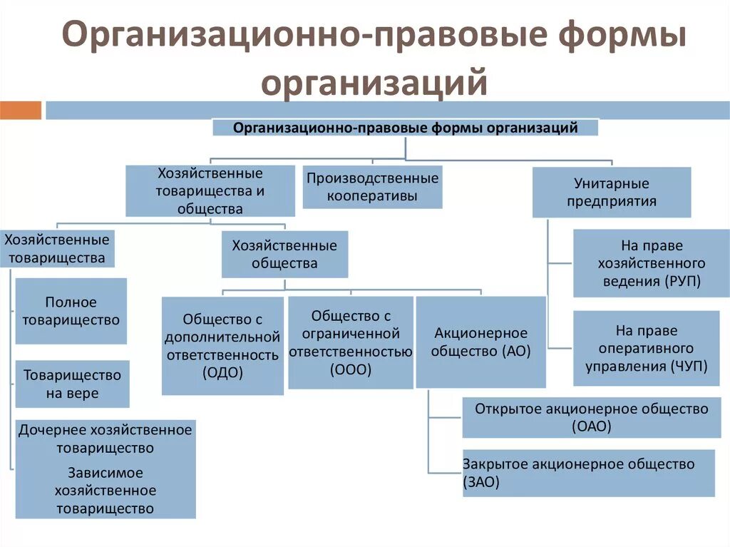 Организационно правовые элементы