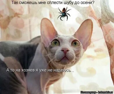 Ой тьфу