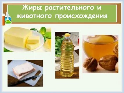 В чем есть животные жиры