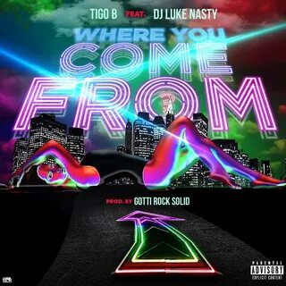 Where You Come From (feat. DJ Luke Nasty) - Single by Tigo B on Apple Music