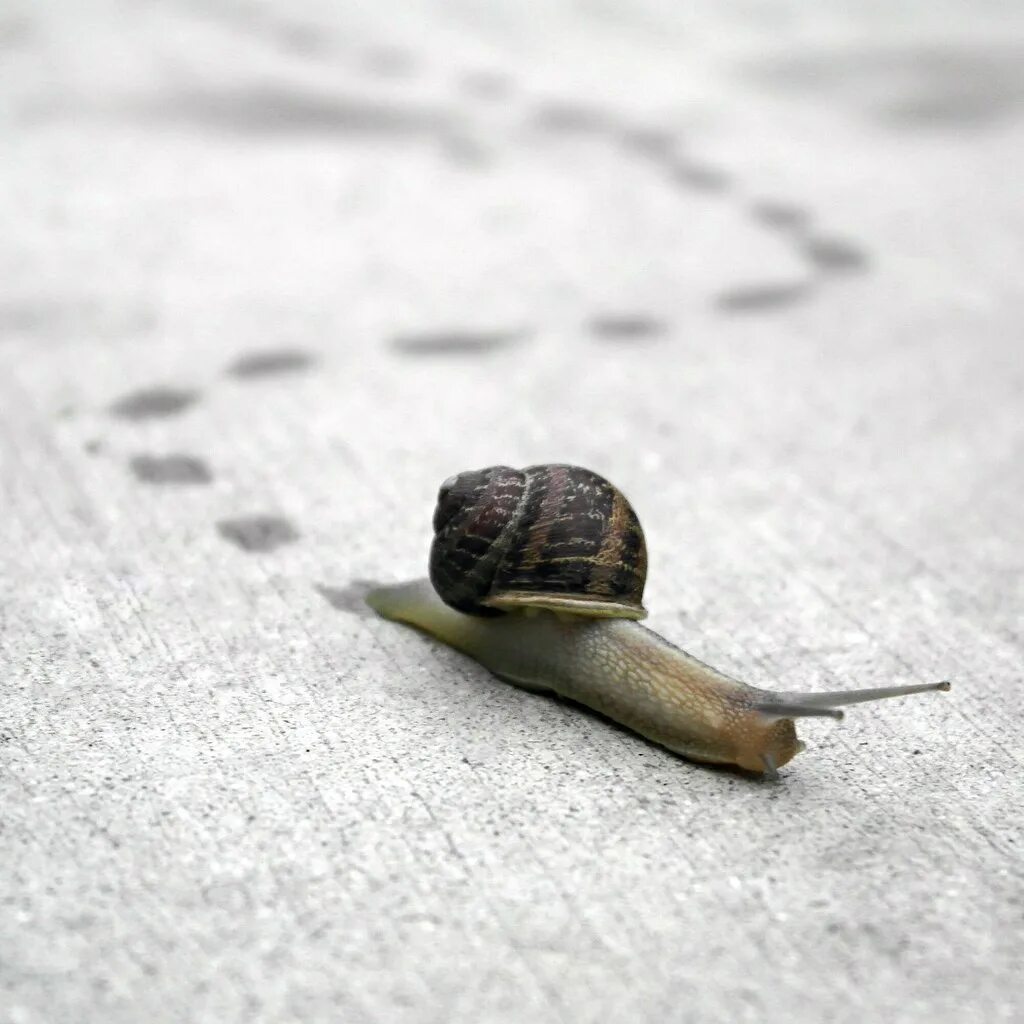 Slow going