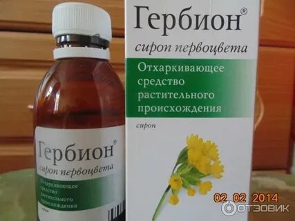 Первоцвет от кашля
