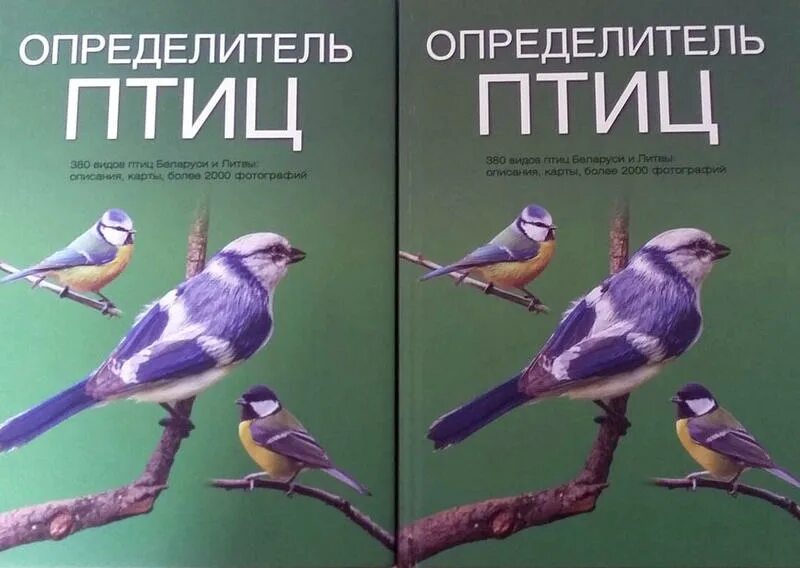 Птицы беларуси книга