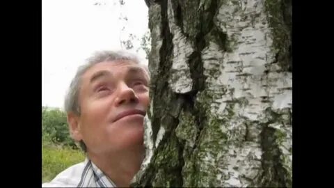 Дюмин белая береза я тебя