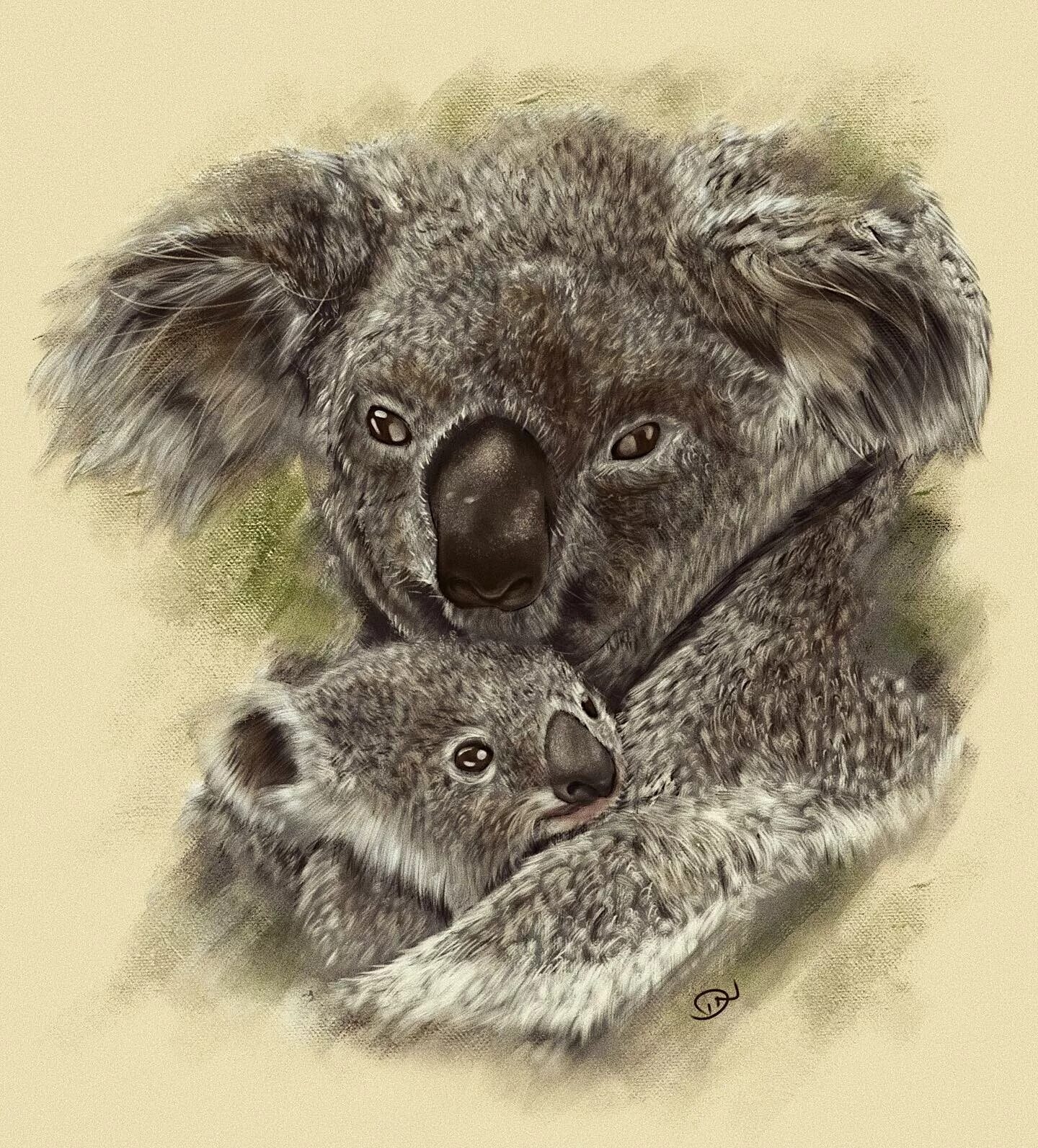 Коала живопись. Коала с детенышем рисунок. Картины красивые коала. Коала репродукция. Панда и коала