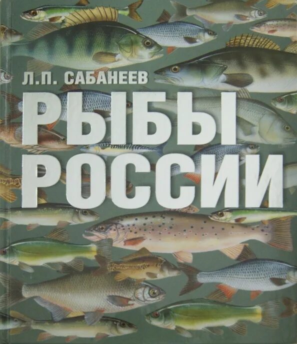 Жизнь пресноводных рыб сабанеев. Рыбы России книга. Рыбы России книга Сабанеев. Сабанеев Пресноводные рыбы.