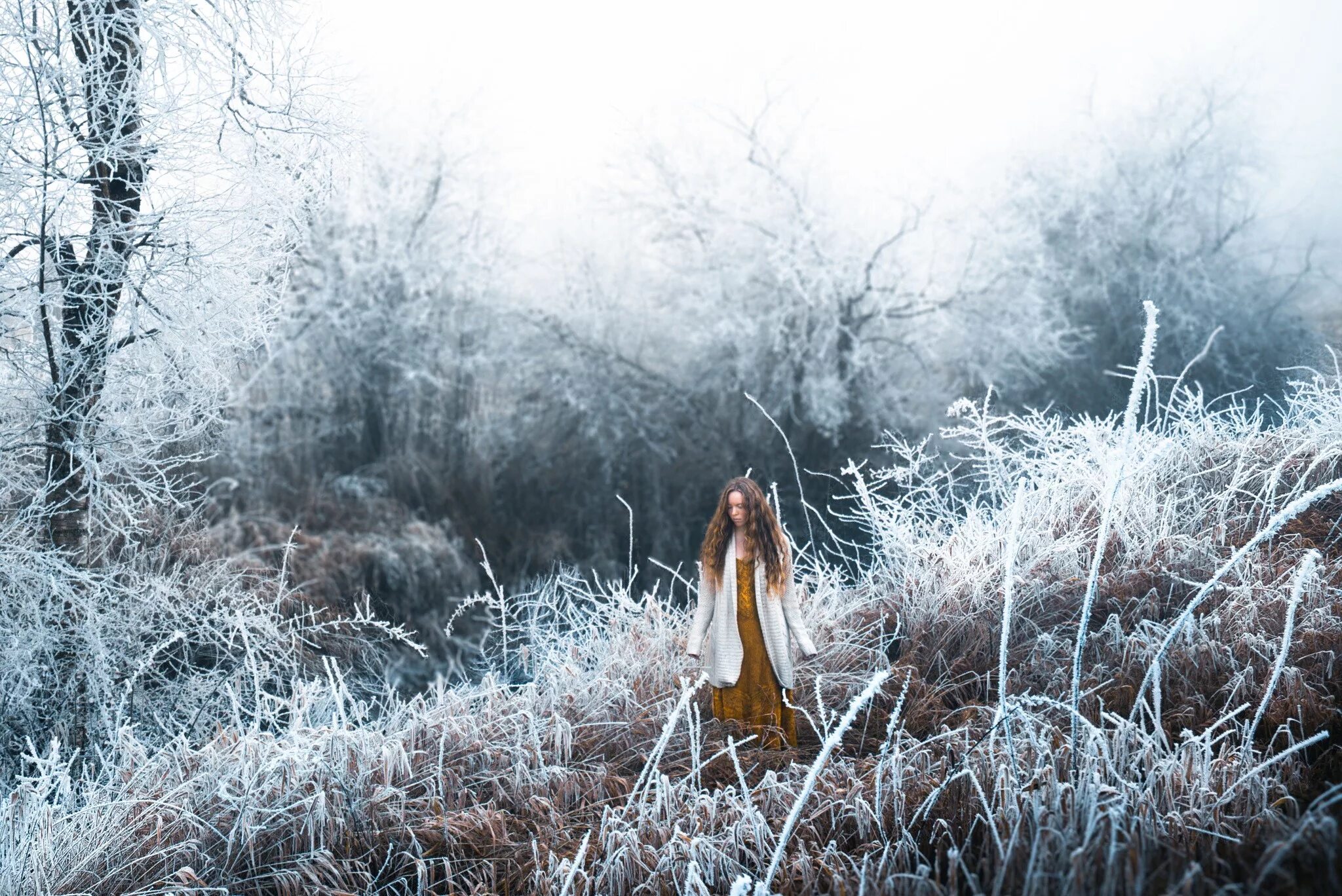 Снег среди зимы. Элизабет Гэдд. Лиззи Гадд. Фотографии Элизабет Гэдд. Зимняя фотосессия на природе.