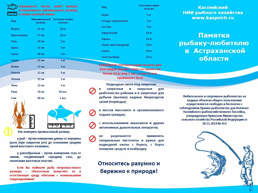 Памятка рыбаку-любителю в Астраханской области. Памятка рыболова Астраханской области. Памятка для рыбаков любителей в Астраханской области. Правила Любительской рыбалки.