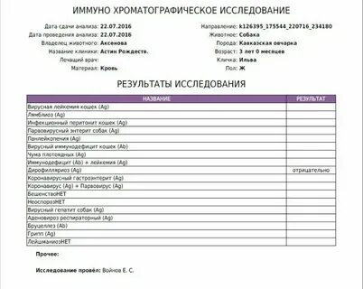 Как узнать результат на коронавирус