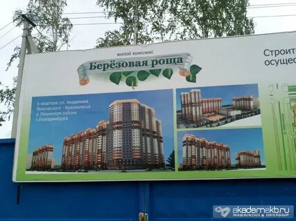 Березовая роща новокузнецк