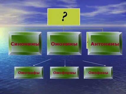 Антонимы синонимы омонимы омографы