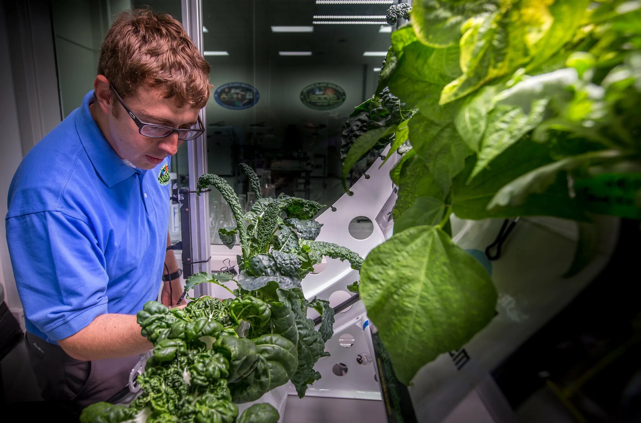 Plant station. Оранжерея Veggie МКС. Растения в космосе. Растения выращенные в космосе. Растения на космической станции.