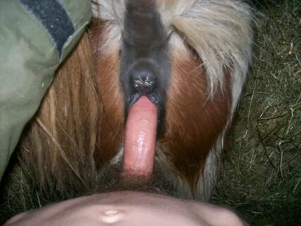 Fucking A Goat Porn. 