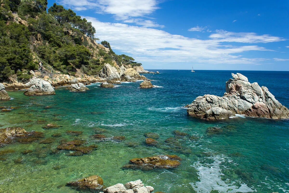 Дикие побережья. Приморье дальний восток. Переход на берег дикий. Воронцовский пляж алупка. Дикий пляж.