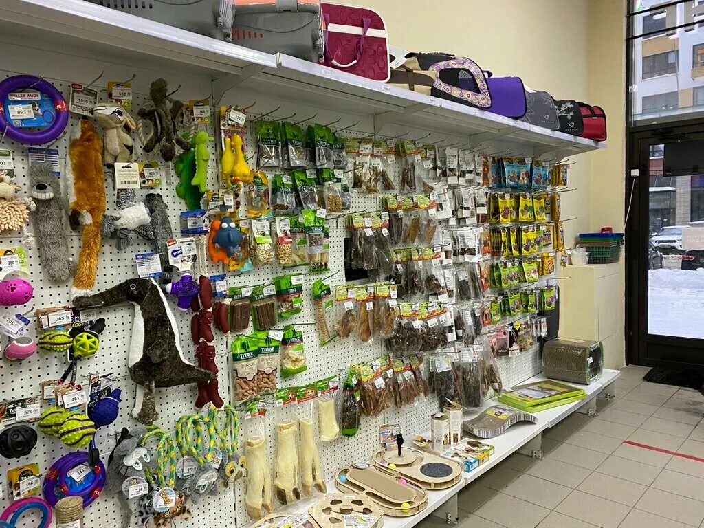 зоомагазины в москве. зоомагазин рыбки. зоогалерея зоомагазин. зоомагазин рептилий пантерик. Exotic city зоомагазин.