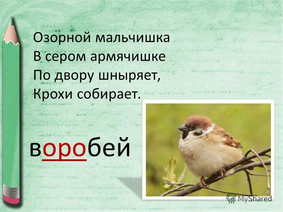 Мальчишка в сером армячишке. Мальчишка в сером армячишке по дворам шныряет крохи собирает. озорной мальчишка, в сером армячишке. армячишке. шныряет.