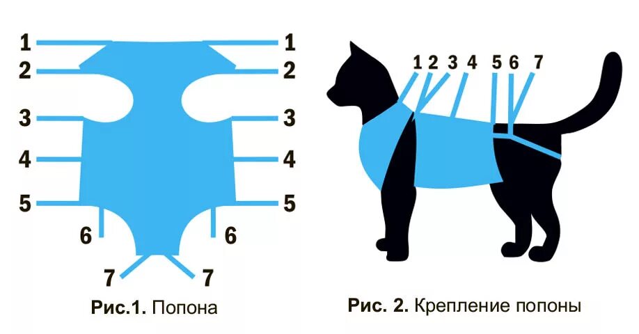 Перевязать кошку. Выкройка бандажа для кошки после стерилизации. Попонка послеоперационная для кота. Как завязать попонку кошке после операции. Бандаж для кошки после стерилизации.