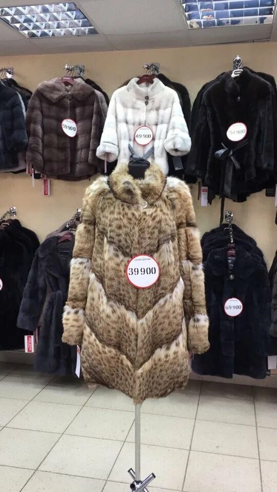 шубы даром. шуба даром. шубы саранск магазины. шуба даром казань. шубы даром саранск.