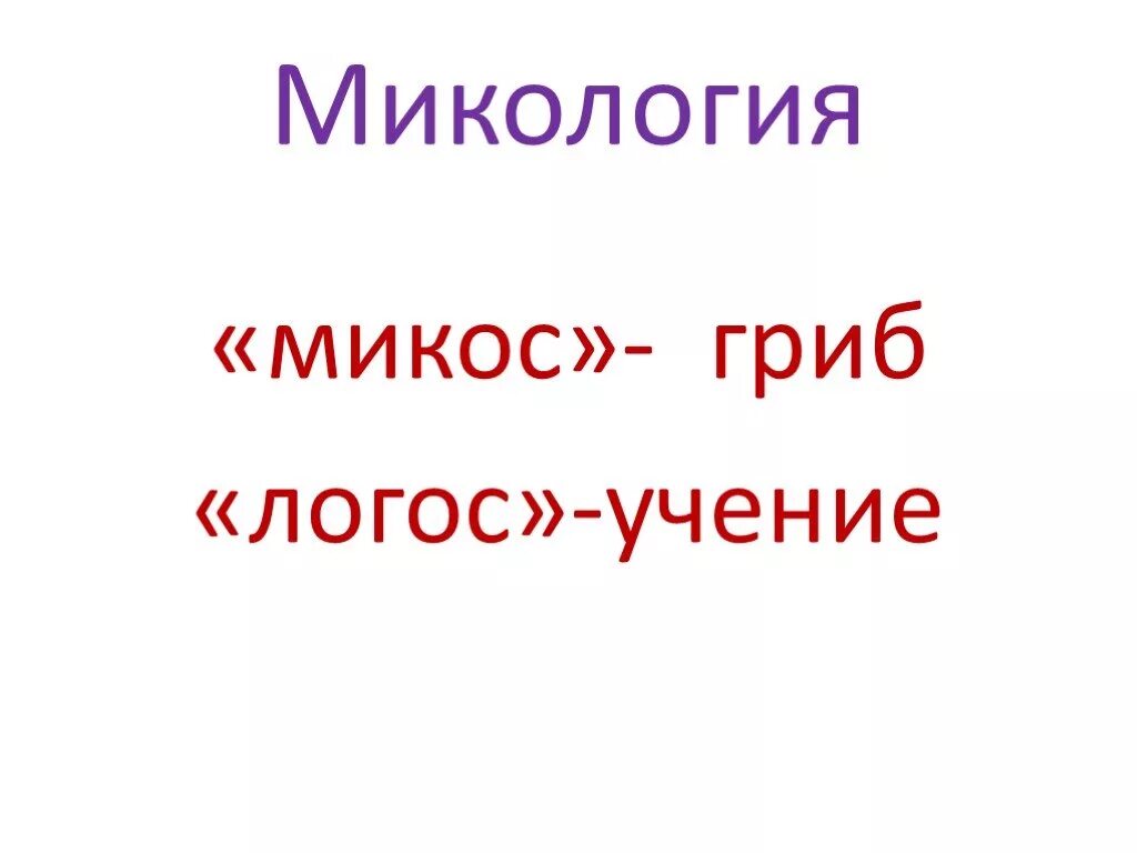 Микология. Микология наука о грибах. Микология это кратко. Что изучает микология кратко.