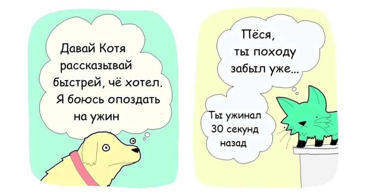 Песя имя. Анекдоты от тети песи. Песя имя. Еврейский юмор про любовь. Одесский юмор анекдоты.