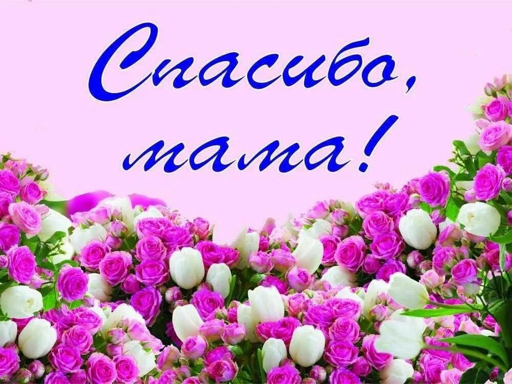 Спасибо его маме за него. Спасибо мама. спасибо мама картинки. благодарность маме картинки. открытка спасибо мама.