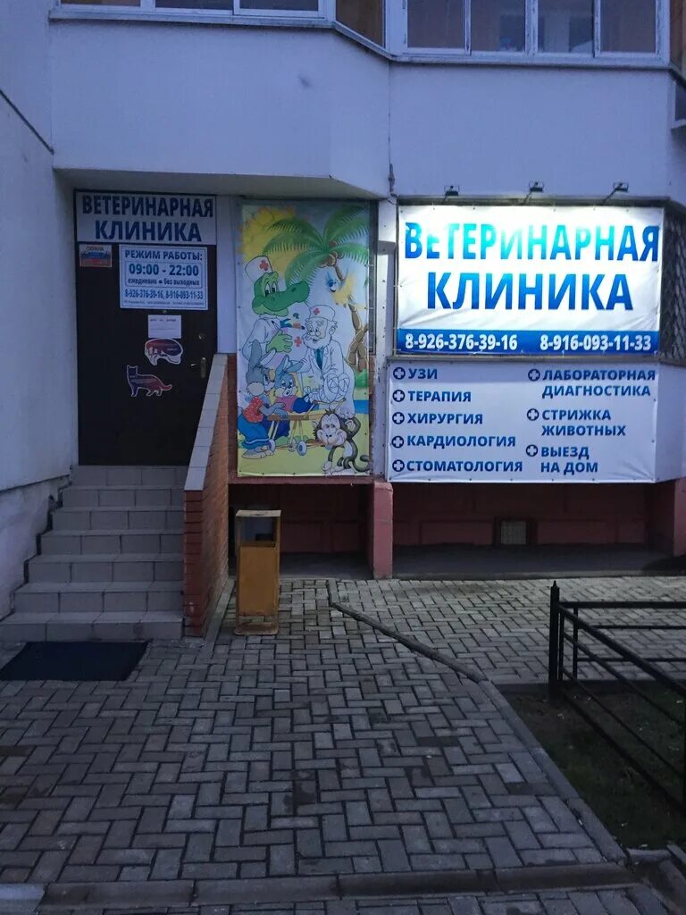 Московское ш 51 серпухов. Ветклиника серпухов телефон. Ветклиника серпухов телефон. Крошка енот в серпухове ветклиника. Ветклиника серпухов телефон.