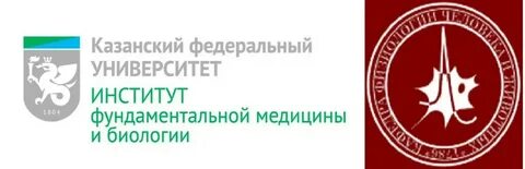 Кфу фундаментальная