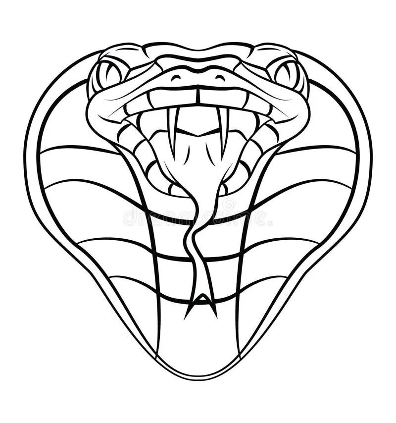 Распечатать шаблон головы змеи Coloriage Bébé Animaux Trop Mignon Snake coloring pages, Animal coloring pages,