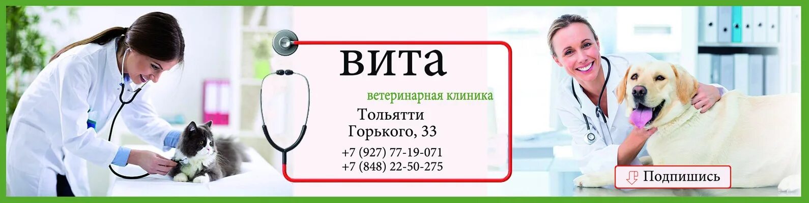 Бесплатная консультация ветеринара круглосуточно. Ветеринары Тольятти.