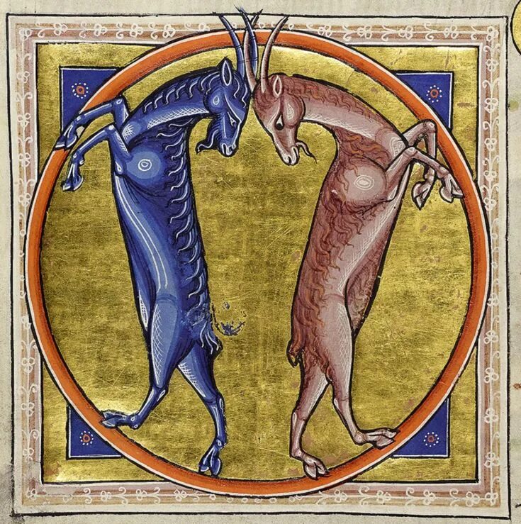 Средневековый бестиарий птицы. Абердинский бестиарий. Птица феникс абердинский бестиарий. Абердинский бестиарий амфисбена. Абердинский бестиарий амфисбена.