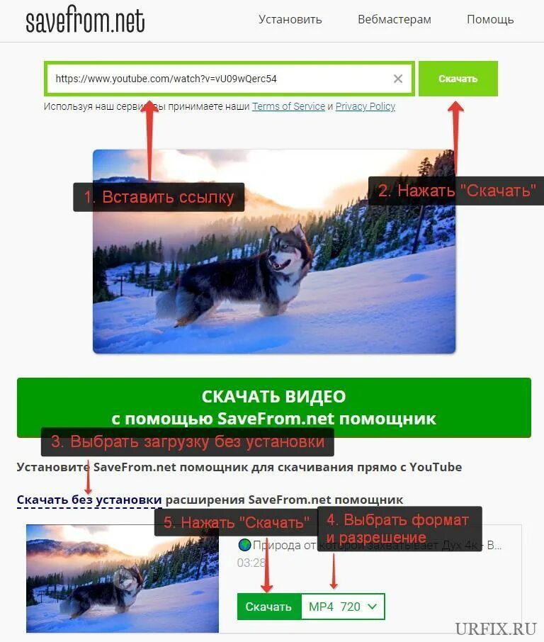 Download video по ссылке