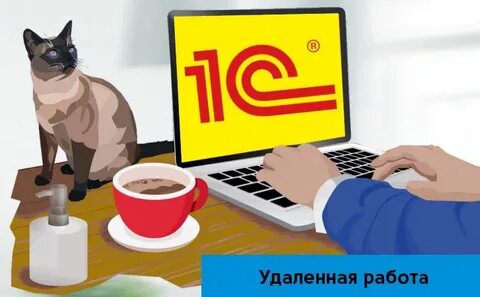 Работа 1