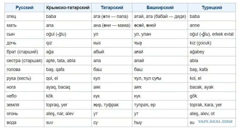 Мама похожие слова. Татарские слова. Татарский язык слова. Основные татарские слова. Сова на башкирском языке.