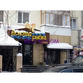 Кафе золотая рыбка телефон