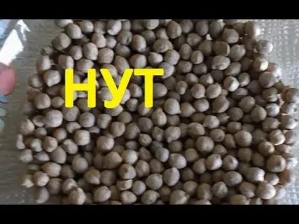 Нут на карпа как приготовить для рыбалки