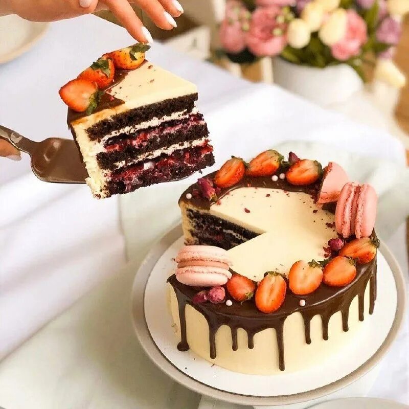 паулина скул