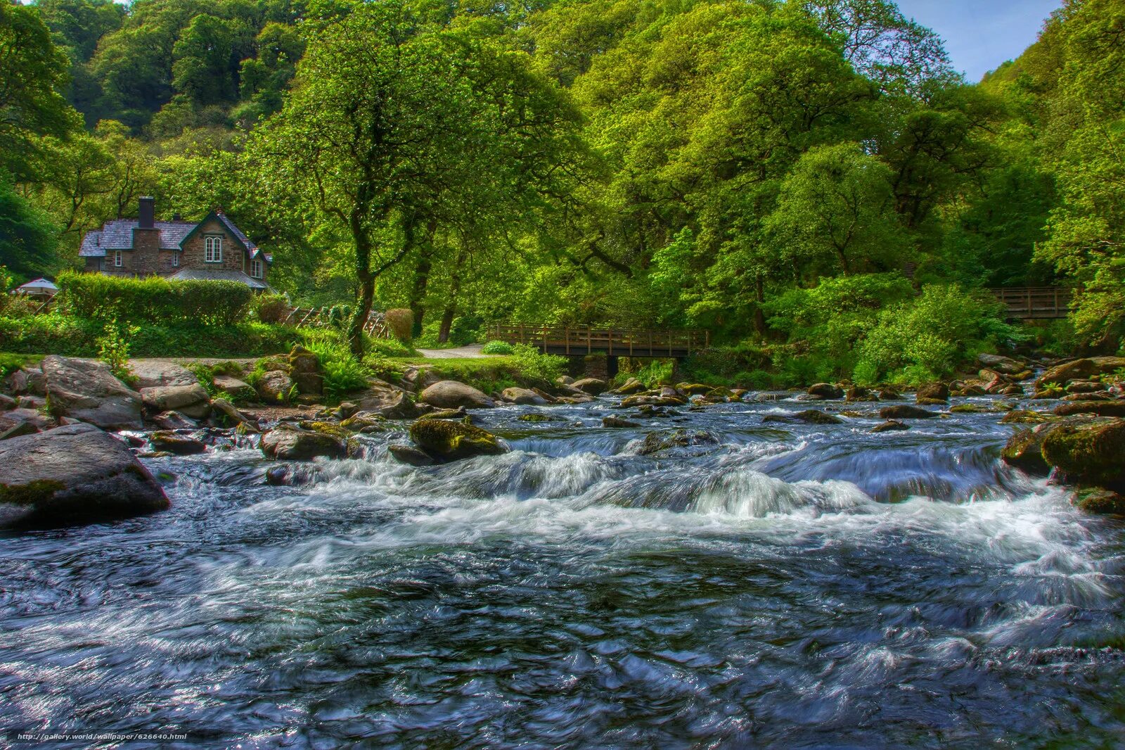 River lynn. Ист Ривер река. Эксмур Девон. Реки Англии. Эксмур фото.