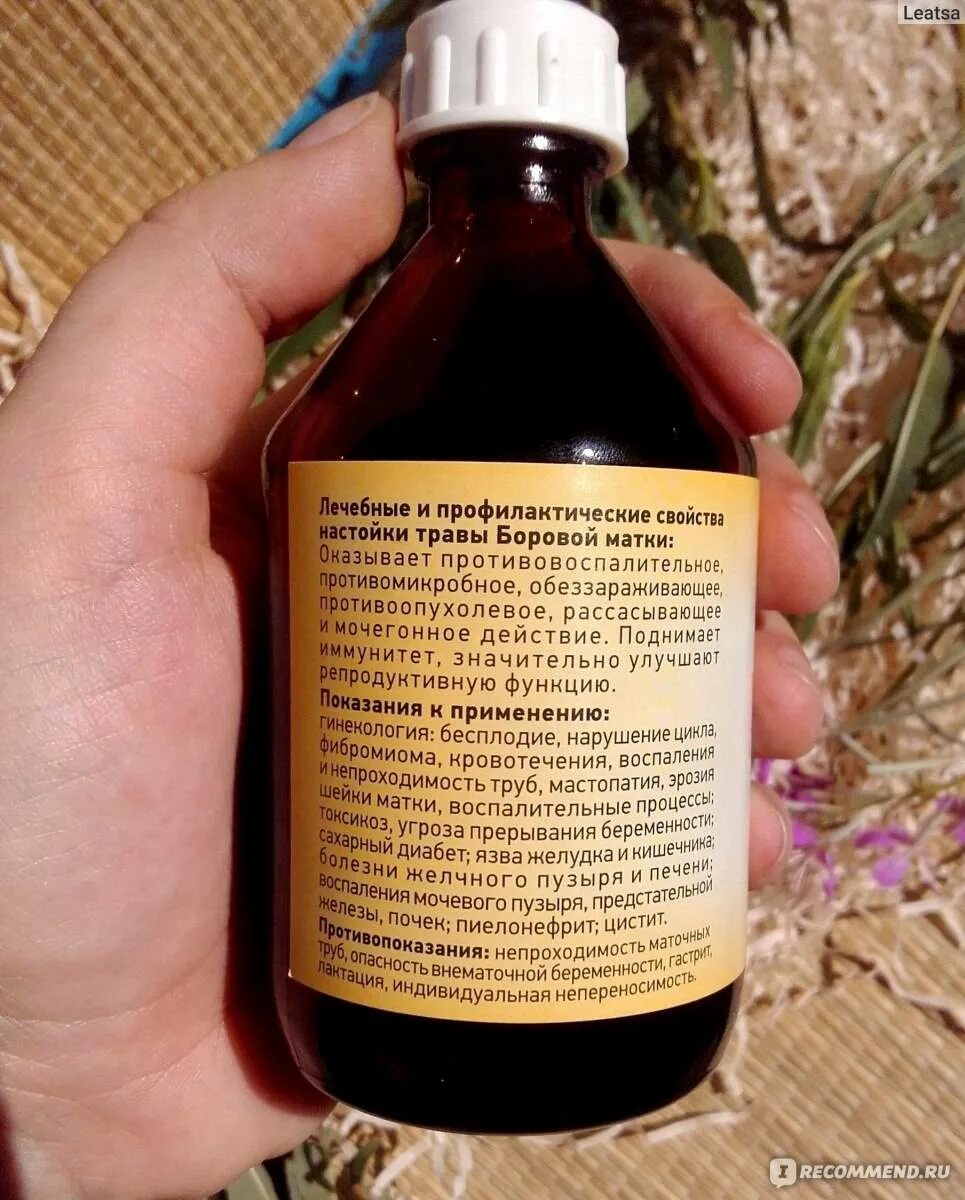 Как вылечить матку народными средствами