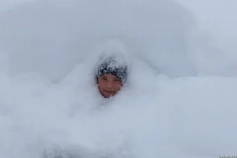 Метель в голове