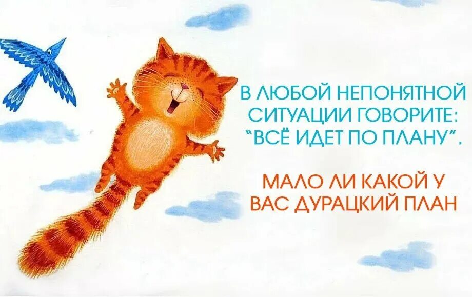 Всë идëт по плану. В любой ситуации говори все идет по плану. В любой ситуации говори. В любой непонятной ситуации говори все идет по плану. Картинка в любой непонятной ситуации.