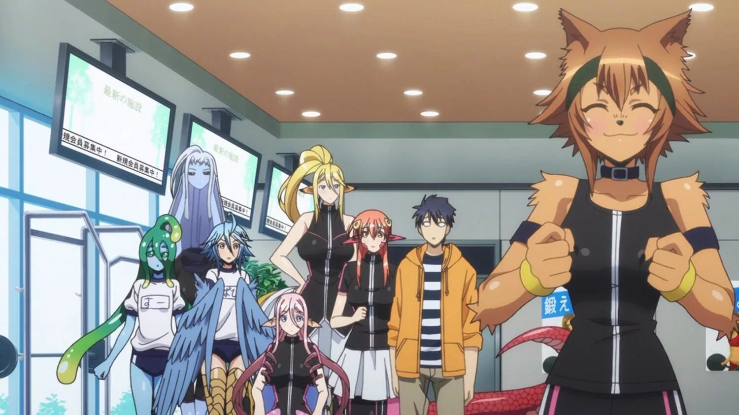 Аниме монстр мусуме. Жизнь с девушкой монстром ova. Аниме монстр мусуме. Жизнь с девушкой монстром ova. Аниме ламия мия.